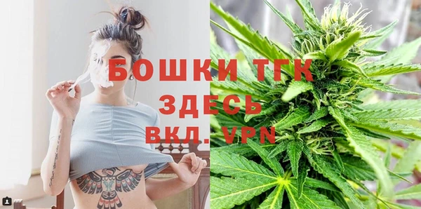 эйфоретик Аркадак