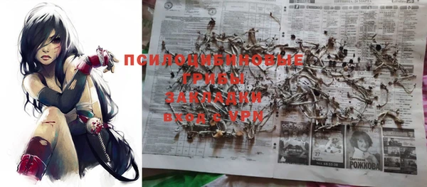 эйфоретик Аркадак