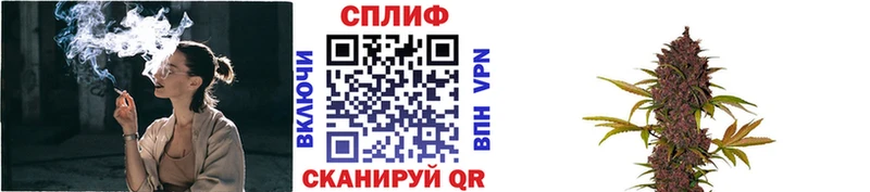 как найти закладки  мега   МАРИХУАНА гибрид  Пугачёв 